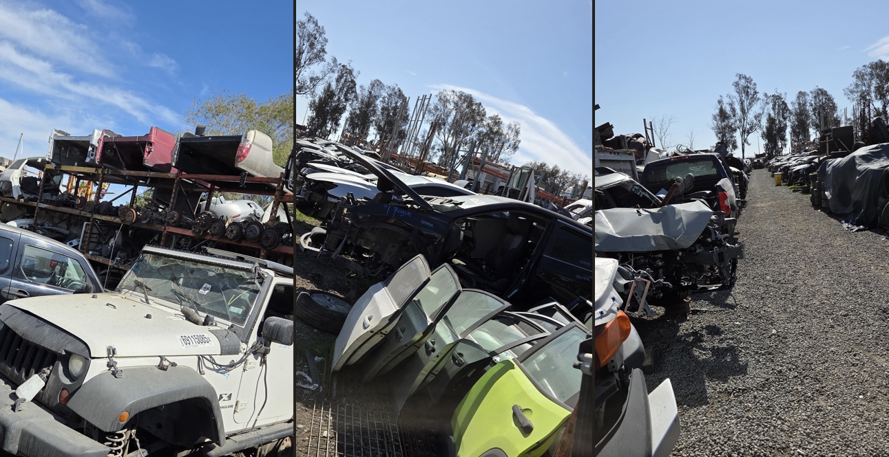 Rows of vehicles at the San Diego Auto Wrecking recycling facility